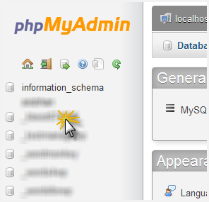 The phpMyAdmin menu showing the list of available databases