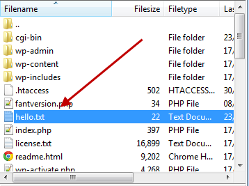 the ftp program with the hello file uploaded