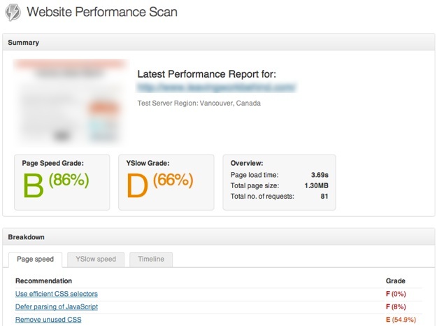 Website Performance Scan