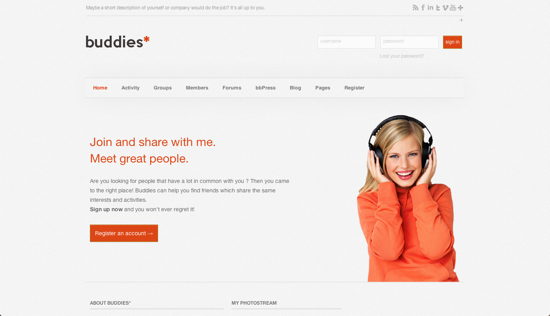 BuddyPress Themes