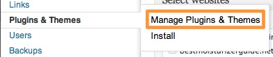 Manage Plugins & Themes