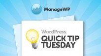 WordPress Users: How to Increase Functionality AND Speed Up Your Site
