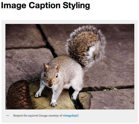 Image Caption Styling