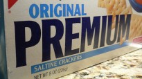 8 Questions to Ask When Buying a Premium Theme