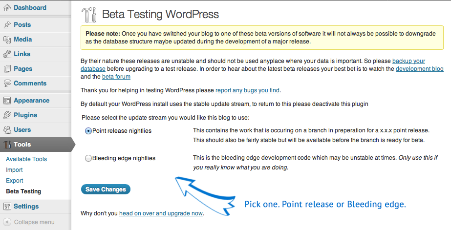 WordPress Beta Testing - 2 update options