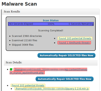 Malware Scan