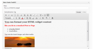 TinyMCE Text Widget