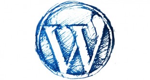 WordPress 3.5 -- What You Need to Know