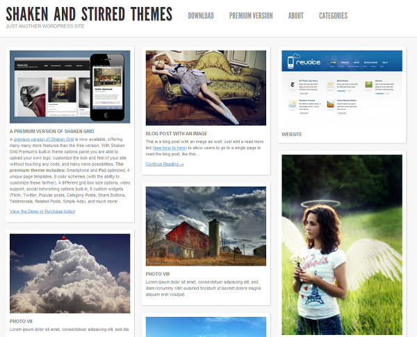 Skaken Grid Lite Free WordPress Theme