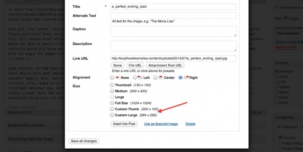 Custom Image Sizes