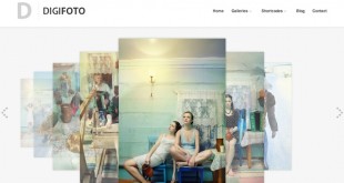 Top Free Photography Themes for Your WordPress Site