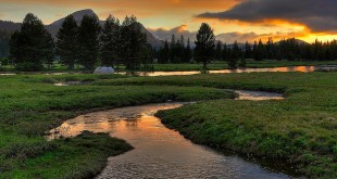 6 Great Plugins for Adding a Social Stream to Your Blog