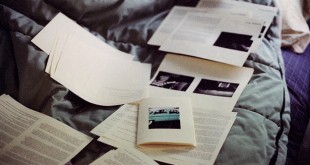 8 Free Portfolio Themes for Freelancers and Designers
