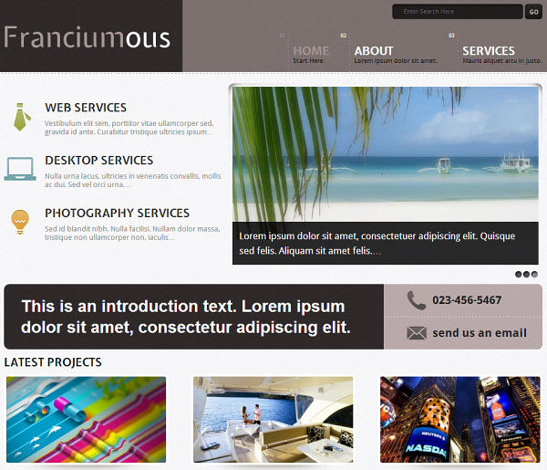 Franciumous Portfolio WordPress Theme