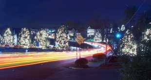 Holiday Scene