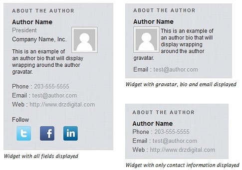 About the Author Advanced WordPress plugin