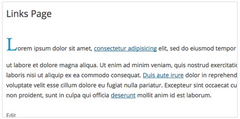 Initial Letter WordPress Plugin