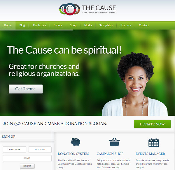 The Cause WordPress Theme