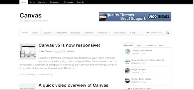 A screenshot of the "Canvas" theme.
