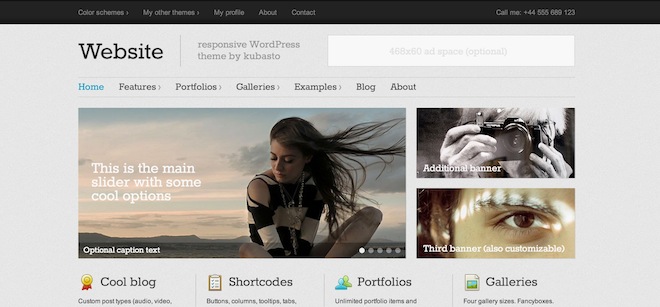 Screenshot of the "website" theme.