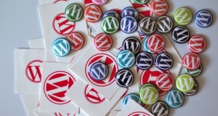 WordPress cards and buttons.