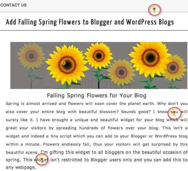 Add Falling Spring Flowers to WordPress