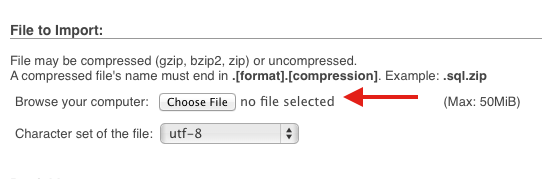 import-database-file