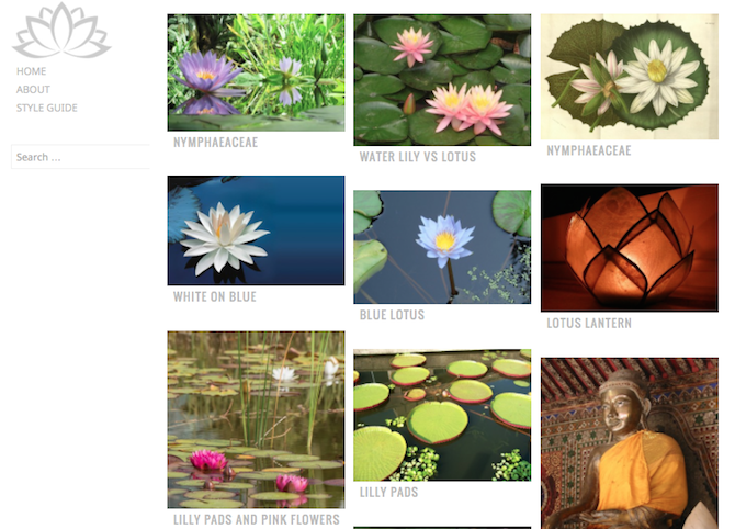 Waterlily Theme