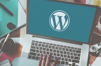 top wordpress websites