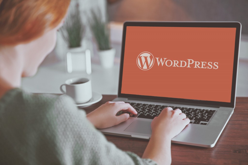 wordpress usage