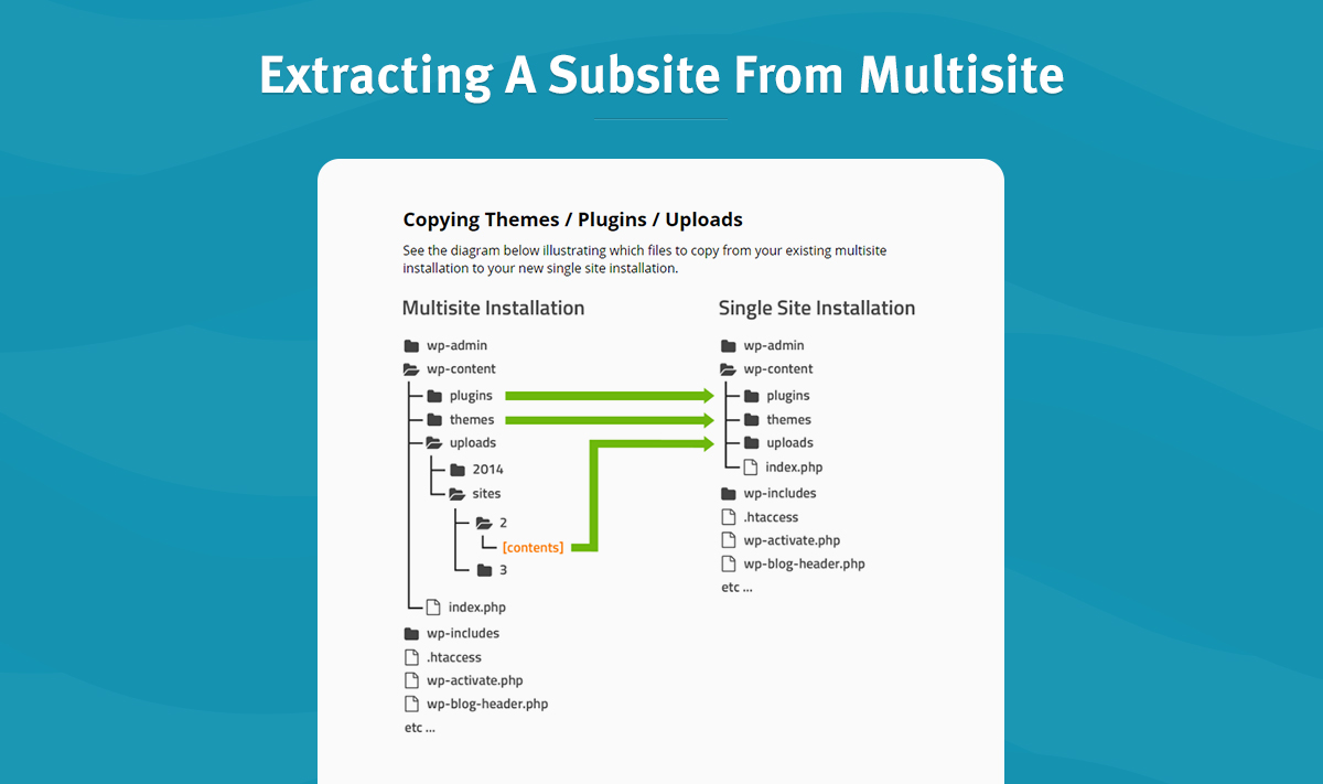 How to Solve Divi Issues on WordPress Multisites - WordPress Maintenance by  Webidextrous