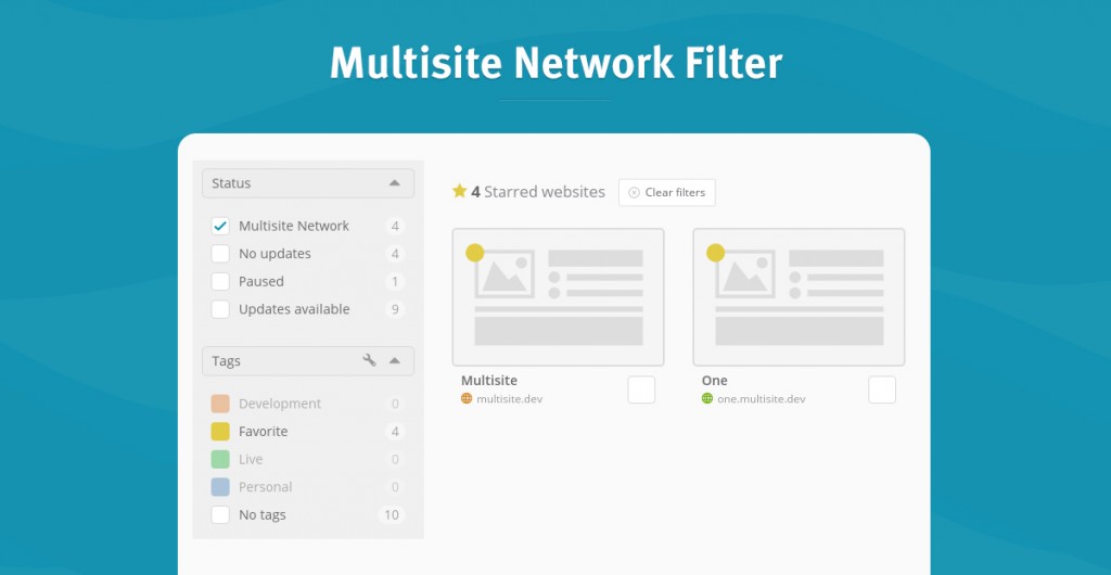 multisite filter 