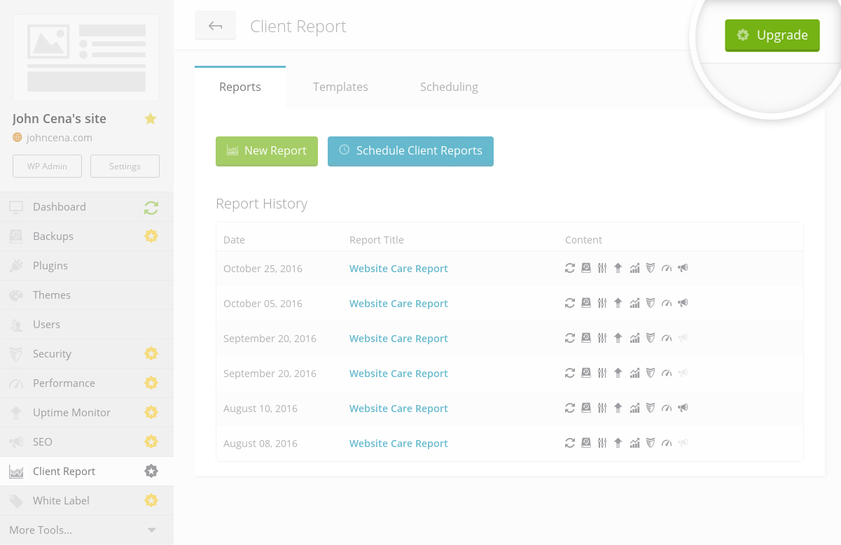 Automated Client Report