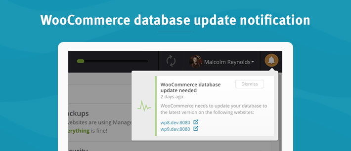 Woocommerce database update