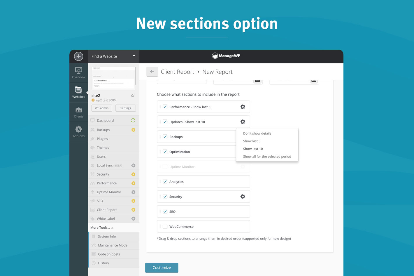 New section options