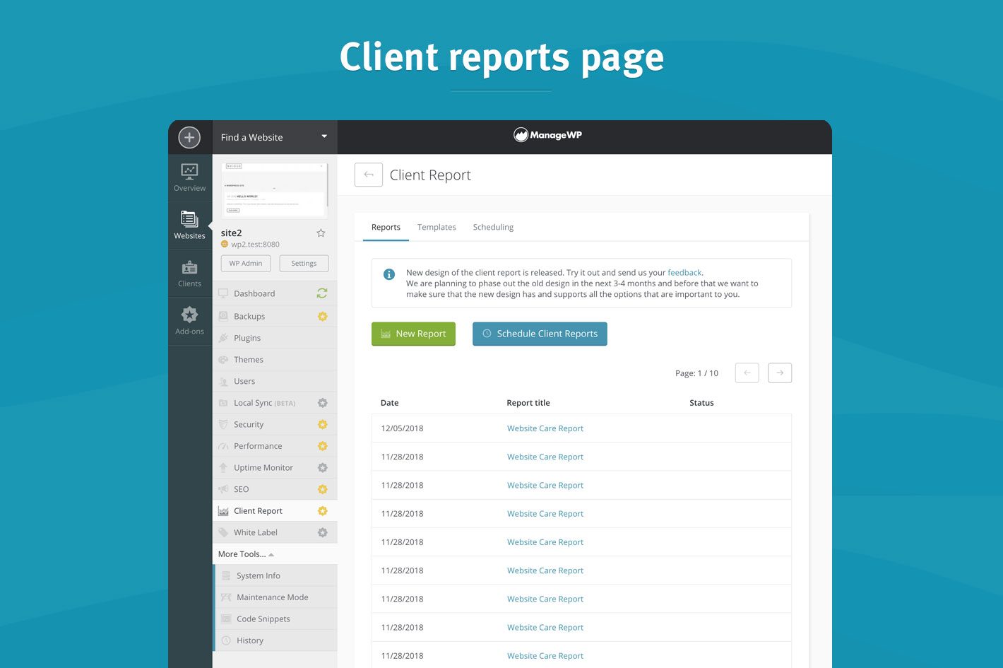 Client Report page