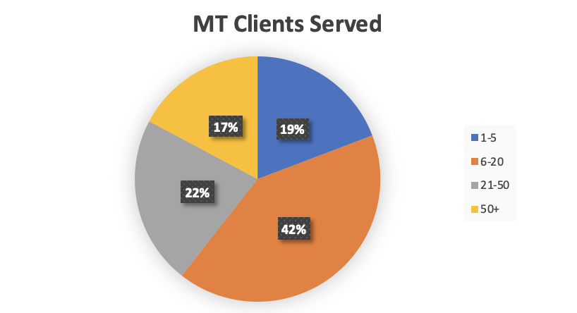 A pie chart showing how many clients those offering multiple tiers of website maintenance service have.