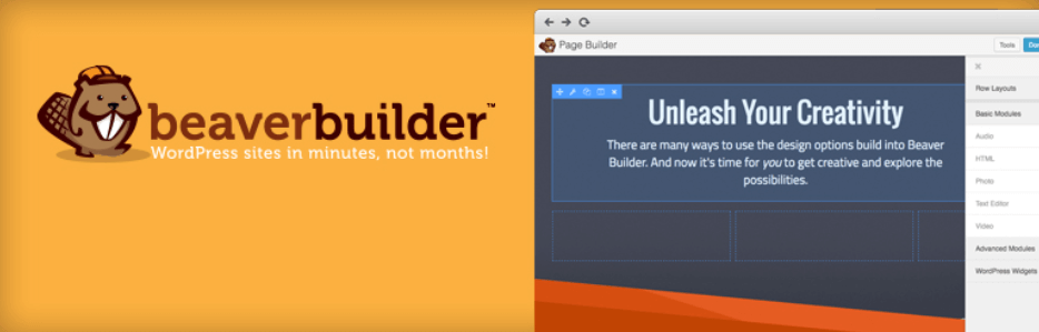 The Beaver Builder WordPress plugin.