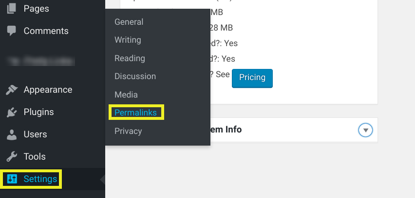 Settings menu in WordPress dashboard.