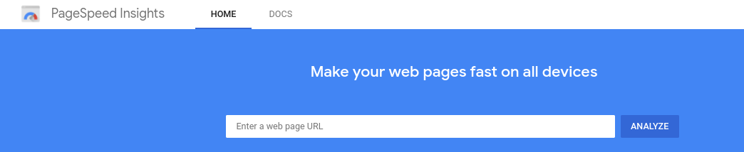 The Google PageSpeed Insights tool.