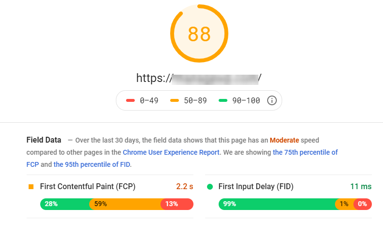 The results page of the Google PageSpeed Insights tool.