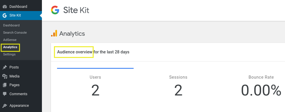 The Analytics audience overview section on the Google Site Kit plugin.