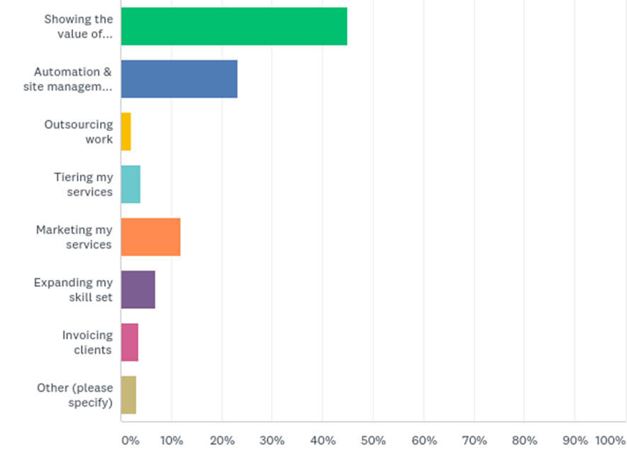 Initial business challenges faced by WordPress maintenance providers.