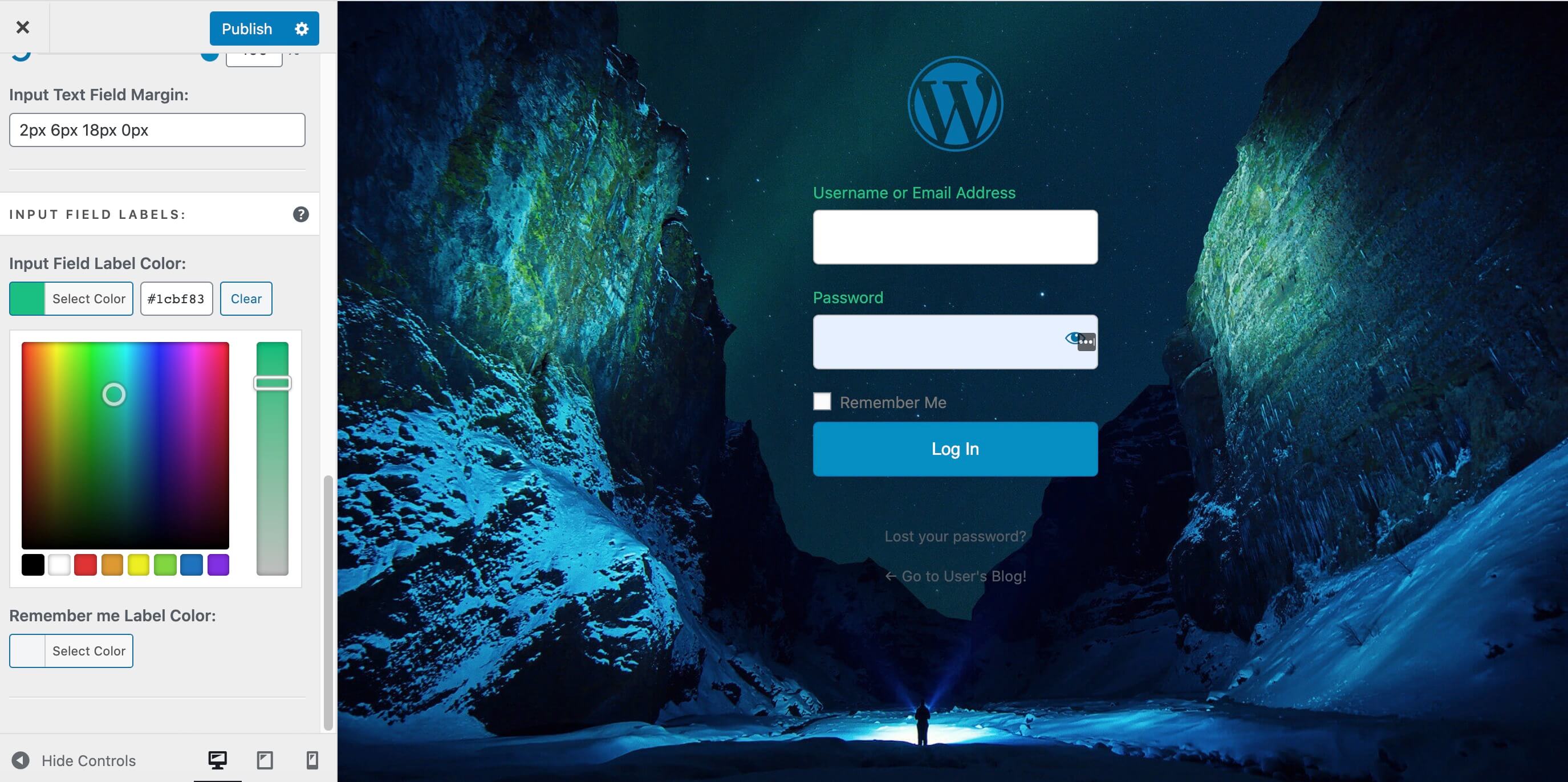 How To Create A Custom WordPress Login Page (In 5 Steps) - Managewp