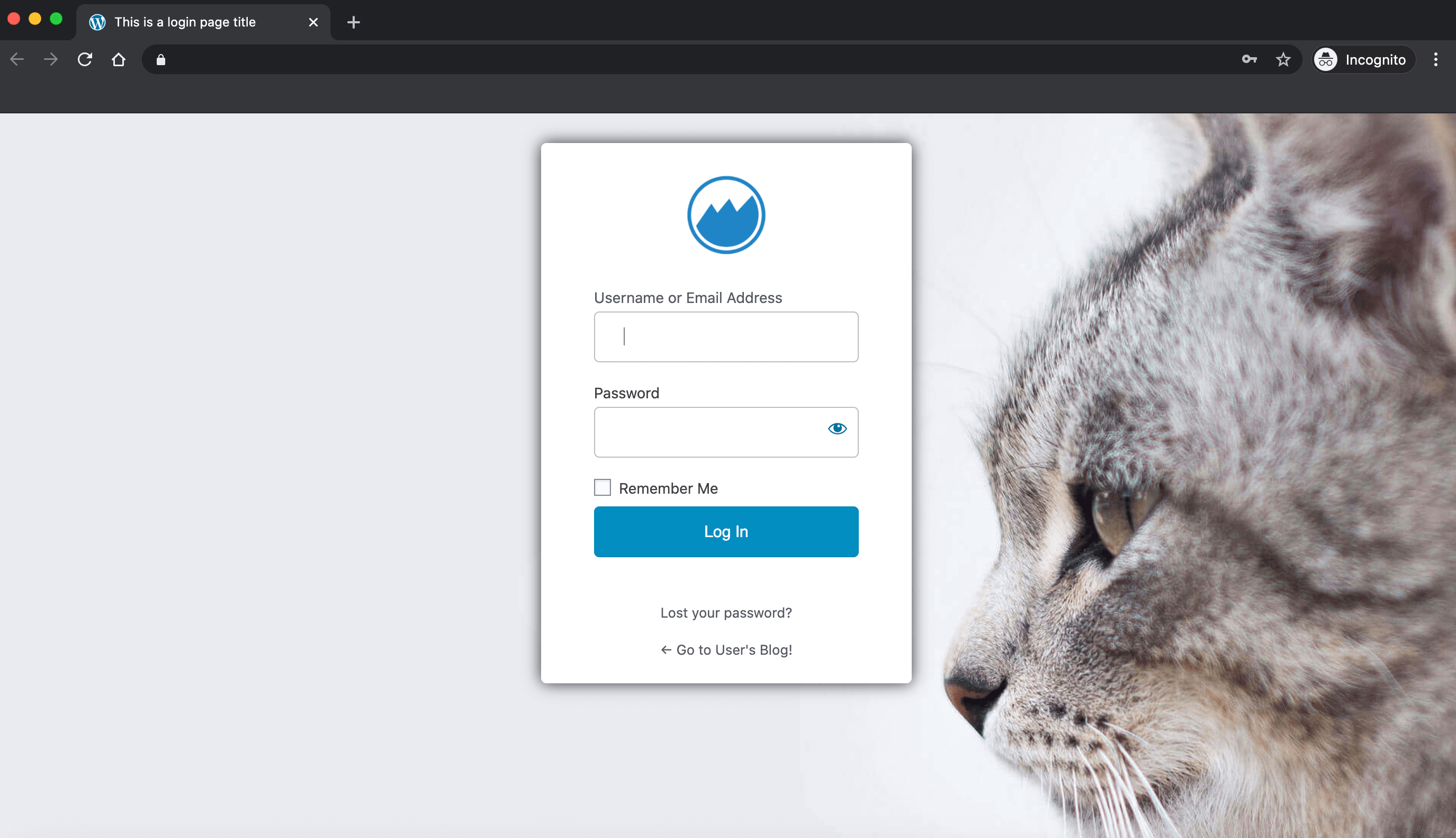 Login Page