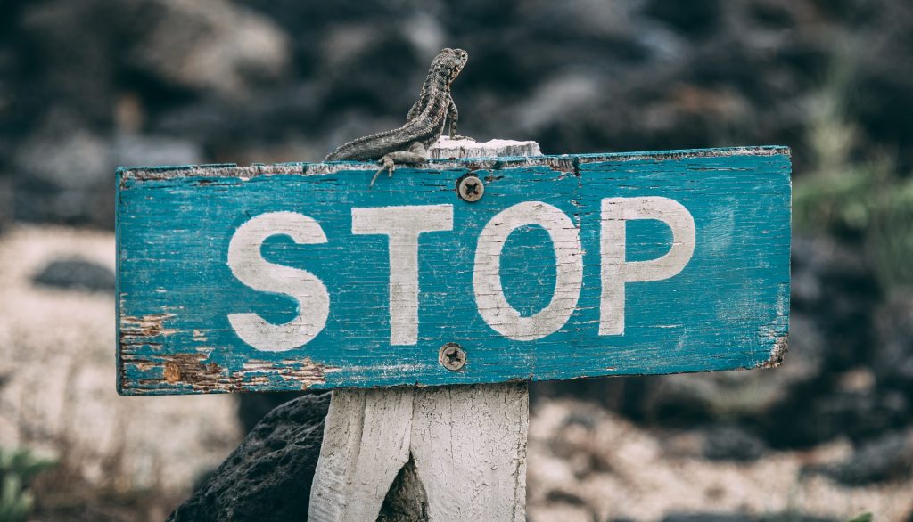 A blue wood "stop" sign.