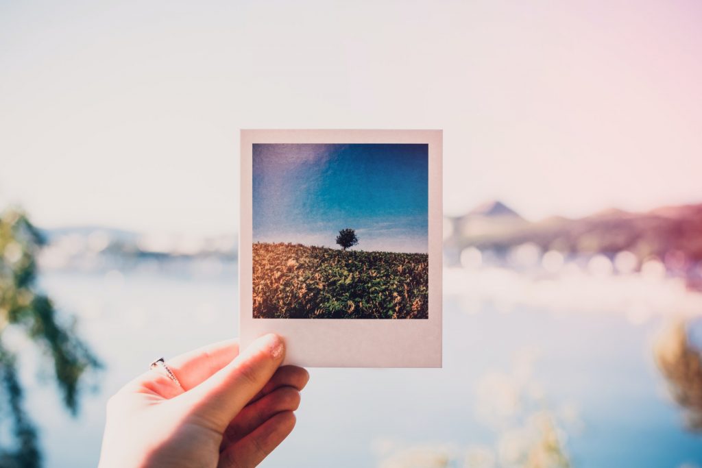 A person's hand holding up a polaroid image of a landscape.