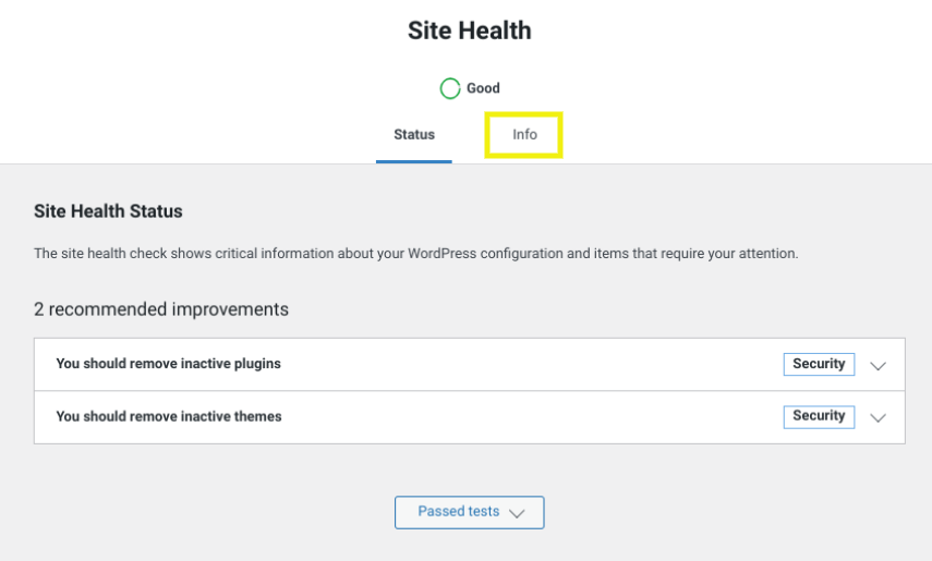The Site Health Info tab.