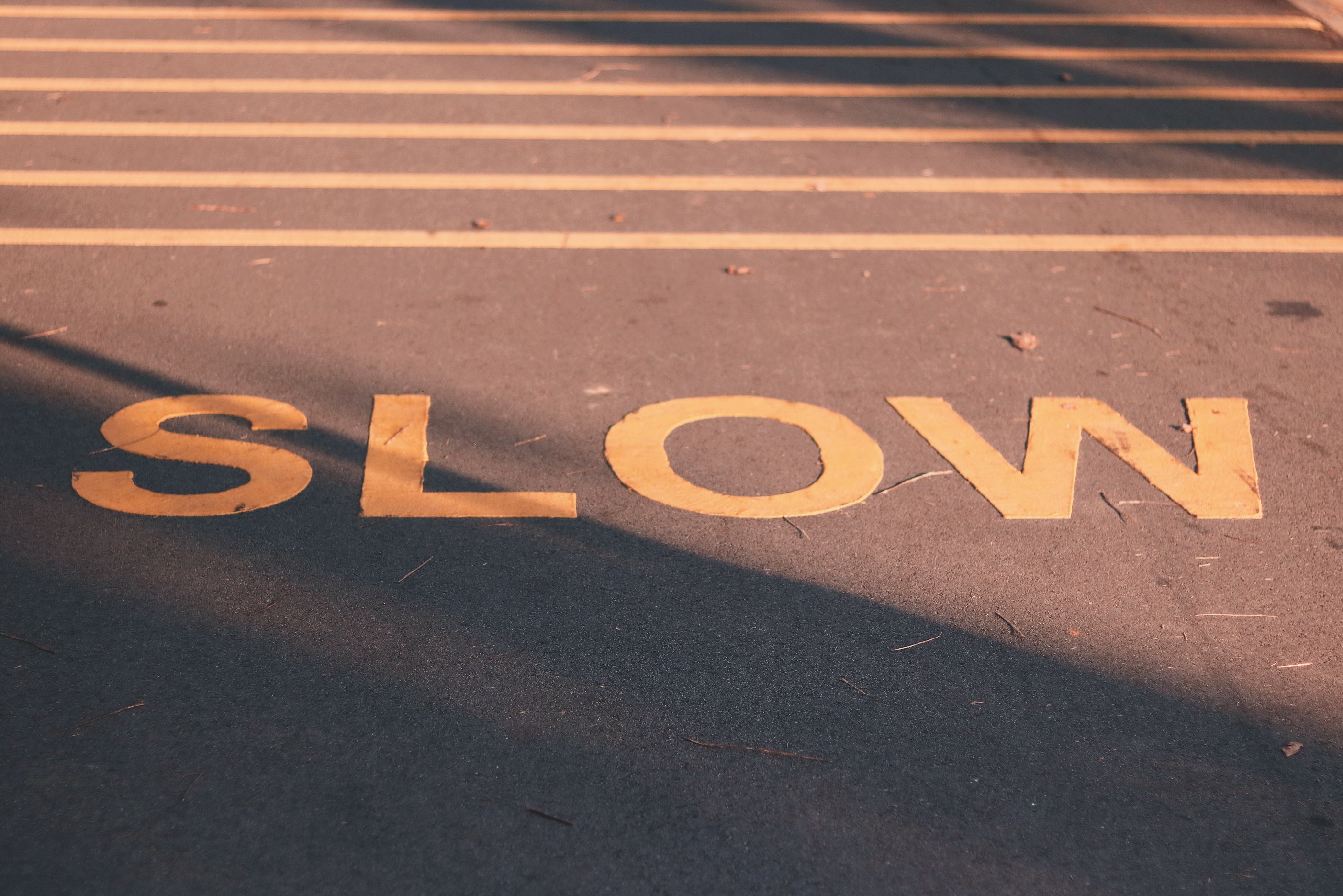 slow wordpress sites