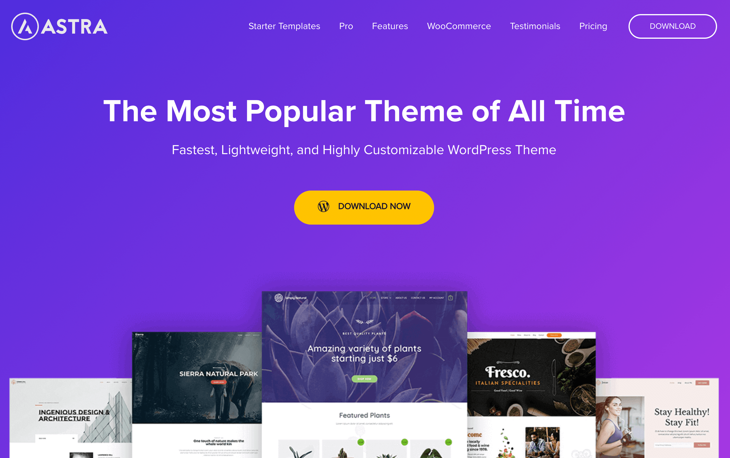 Popular WordPress theme, Astra.